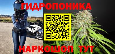 мяу мяу мука Будённовск