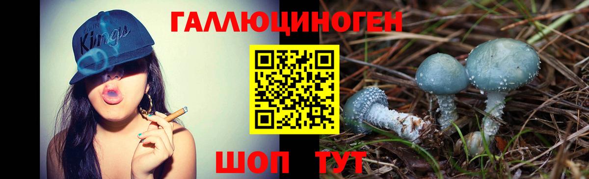 Ликино-Дулёво  Галлюциногенные грибы Psilocybe  Вход с VPN 