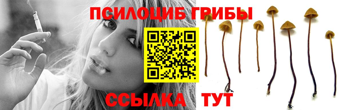 Галлюциногенные грибы Magic Shrooms Ликино-Дулёво